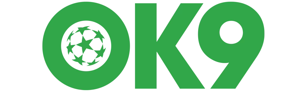 ok9vn1.com